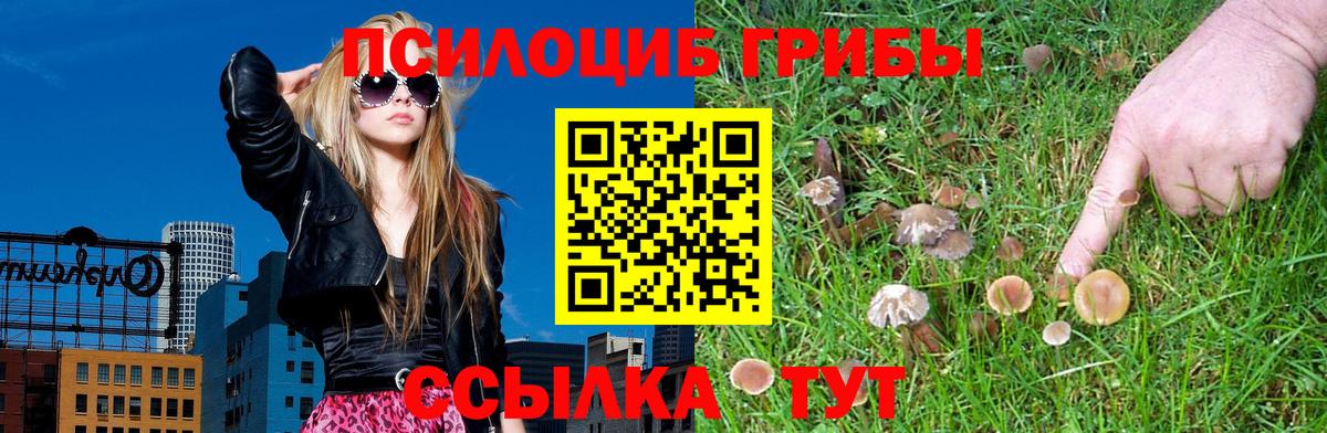 Галлюциногенные грибы мицелий Аксай